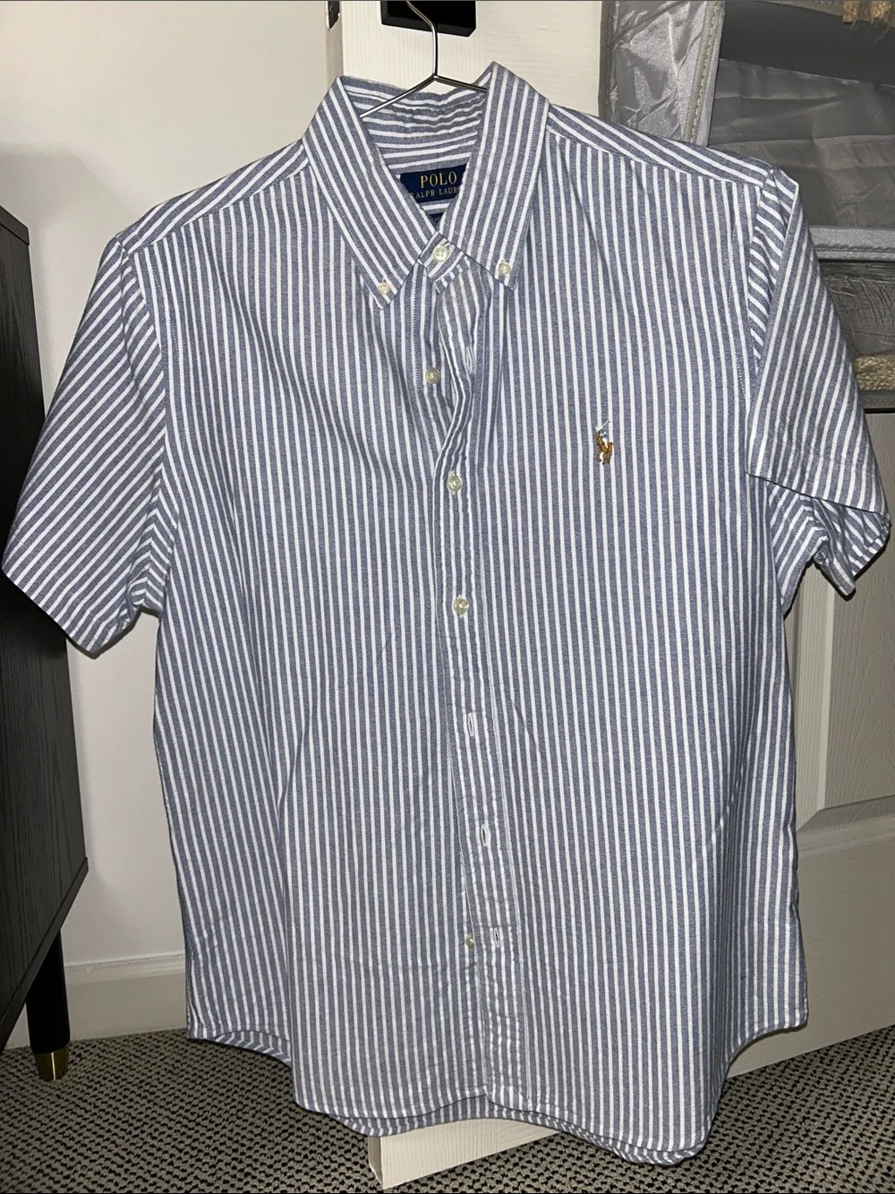 Polo by Ralph Lauren Blue & White Vertical Stripe Button-Down Shirt
